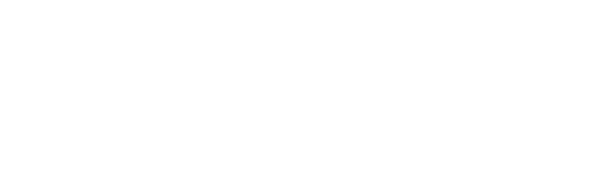 Discover the Museum